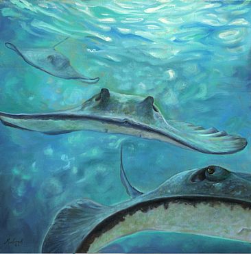 Incoming (Southern Stingrays) - Southern Stingrays by Dianne Munkittrick