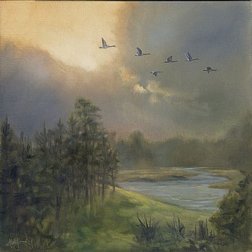 Parting Skies - Canada Geese by Dianne Munkittrick