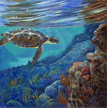 Reflections from Below - Green Sea Turtle by Dianne Munkittrick