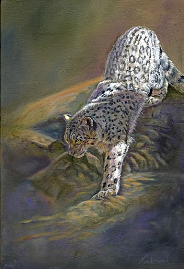 Shadowed Descent - Snow Leopard by Dianne Munkittrick