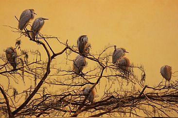 Cypress Skies - Cattle Egrets and Bald Cypress by Billy-Jack Milligan