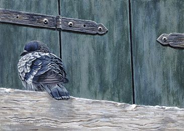 Venetian Snooze - Venice Pidgeon by Cindy Sorley-Keichinger