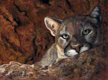 I'm Watching YOu - cougar by Cindy Sorley-Keichinger
