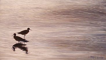 Morning Silhouette - two Greater Yellowlegs by Cindy Sorley-Keichinger