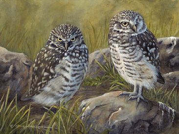 Dusk Lookouts - Burrowing owls by Cindy Sorley-Keichinger