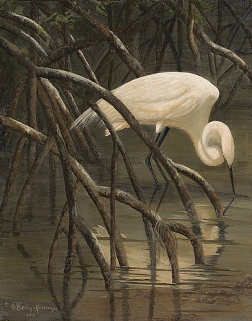 Misty Dawn - Great White Egret by Cindy Sorley-Keichinger