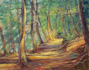 Sunlit Path - Wooded bluff path in Door County, WI by Sandra Place
