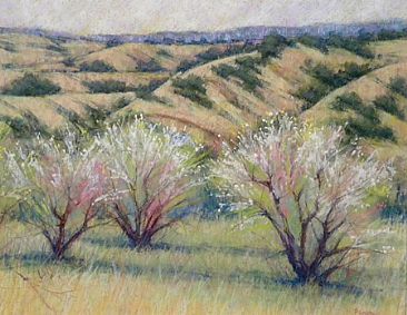 Chimayo Blossoms - Landscape near Chimayo, NM by Sandra Place