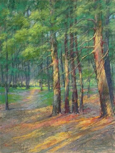 On a Summer Hike SOLD - Lautenbach Woods, Door County, WI by Sandra Place