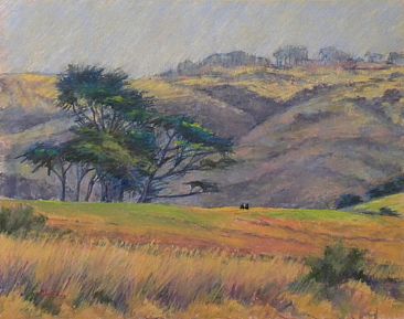 Golden Afternoon - California hillside pasture by Sandra Place