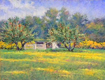 Tesuque Orchard - Apple orchard near Santa Fe, NM, SOLD by Sandra Place