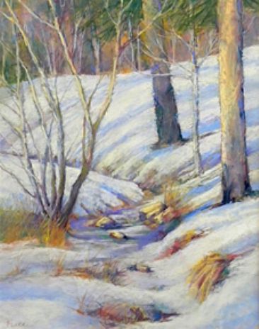 Sunny Afternoon - Snow scene in the Santa Fe National Forest by Sandra Place