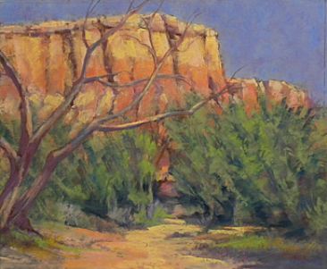 Ghost Ranch Colors - Hiking trail at Ghost Ranch, NM by Sandra Place