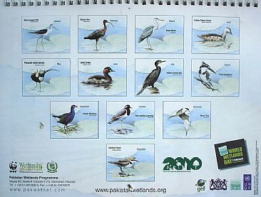 Calendar 2010 - Calendar 2010 by Ahsan Qureshi
