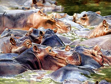 14 Hippos - hippos found in a remote region of Zambia by Linda DuPuis-Rosen