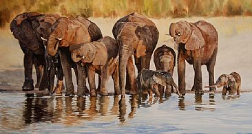 Elephants at the water's edge - African breeding herd by Linda DuPuis-Rosen