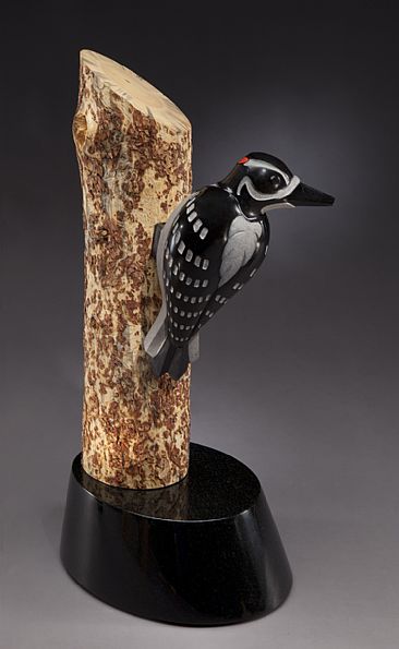 2500 Beetles Per Day - Hairy Woodpecker by Ellen Woodbury