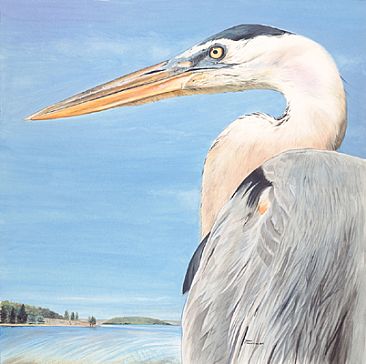 Portrait of A Great Blue Heron - Great Blue Heron by James Fiorentino