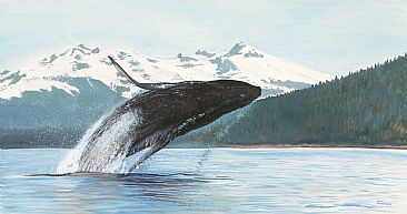 Humpback Whale - humpback whale by James Fiorentino
