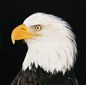  - Bald Eagle by James Fiorentino