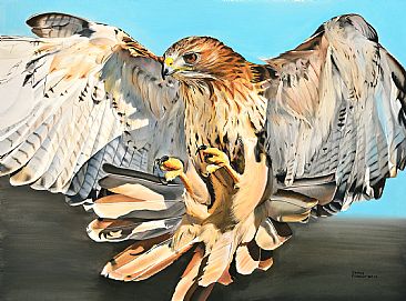 Red Tailed Hawk - Red Tailed Hawk by James Fiorentino