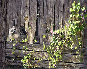 Country Morning - Morning Glories and Raccoon by Taylor White