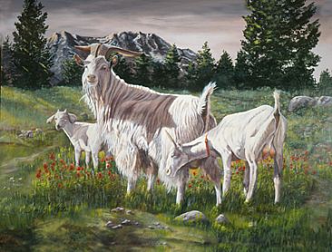 Fairy Lake Mountain Goats - Goats by Taylor White