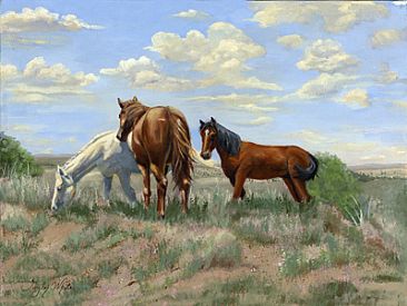 Free Range Horses - Wild Horses by Taylor White