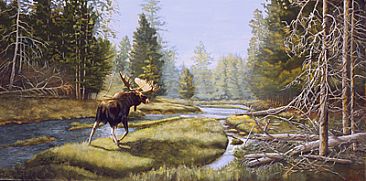 Yellowstone Moose - Moose in meadow by Taylor White