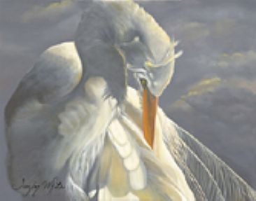 Preening Egret - Great White Egret by Taylor White