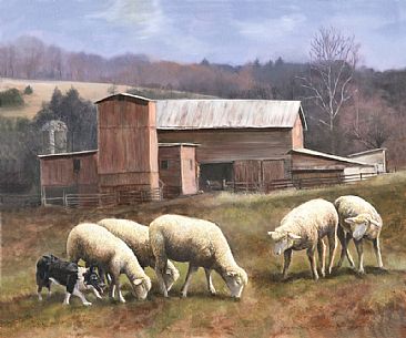 The Sheep Herder - Broder Collie and Sheep by Taylor White