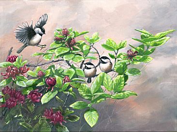 Sweet Shrub and Chick-a-dees - Sweet shrub bush with chickadees by Taylor White