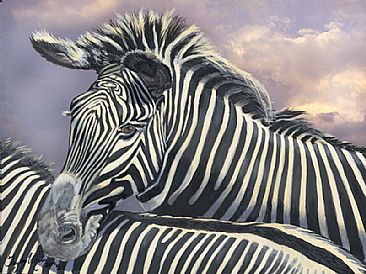 Zebra - Two Zebra by Taylor White