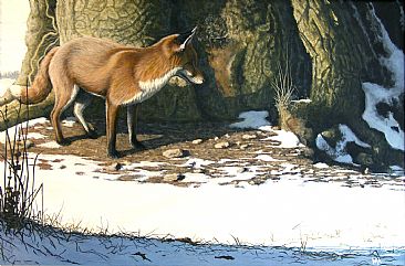 Winter Sun - Fox and Wood Mouse - Red Fox and Wood Mouse by Mike Hughes