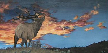 Last Call - Elk - Elk by Jason Kamin