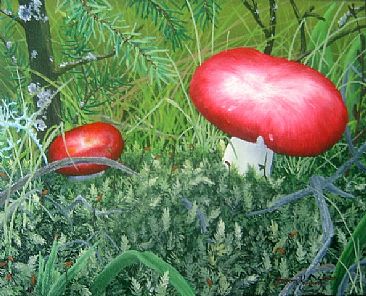 Red Mushrooms - Microscape - Plants by Jason Kamin