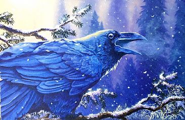 Morning Raven - Raven by Jason Kamin