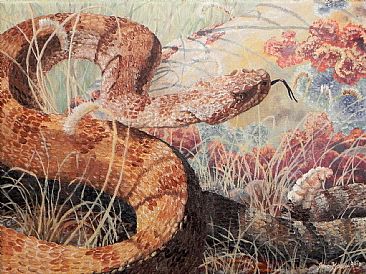 Prairie Rattlesnake - Prairie rattlesnake by Jason Kamin