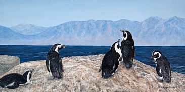 On the Edge - African Penguins - African Penguins by Barbara Kopeschny