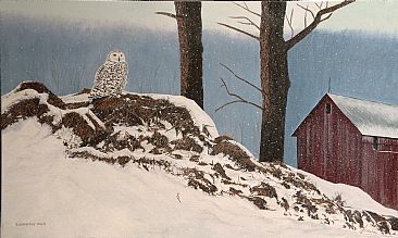 Silent Repose - Snowy Owl (Original SOLD) - Snowy Owl Landscape by Barbara Kopeschny