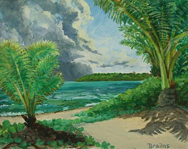 Coastal Forest Beach Belize -  by Jeffrey Brailas