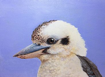 Kookaburra mugshot - Kookaburra (Dacelo novaeguineae) by Laura Grogan