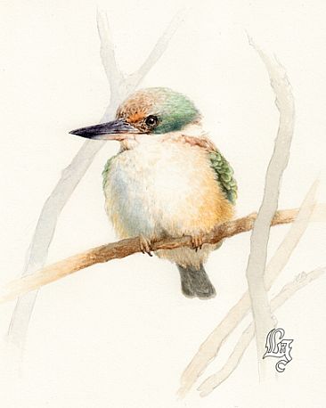 Fluffed up SOLD - Sacred kingfisher (Todiramphus sanctus) by Laura Grogan