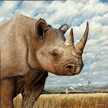 Magnificence - Portrait of a Black Rhinoceros by Rob Dreyer