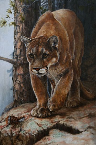 Early Morning Turkey Hunt - Lifesize Portrait of a Mountain Lion by Rob Dreyer