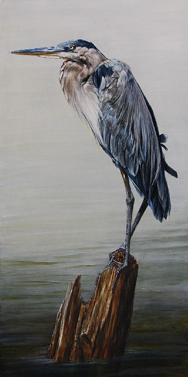 The Sentinel - Portrait of a Great Blue Heron by Rob Dreyer