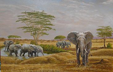 Elephants at a water hole -  by Werner Rentsch