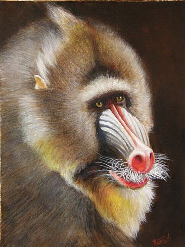 Happy Mandrill - primates by Werner Rentsch