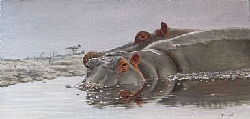 Hippo Island - African wildlife by Werner Rentsch