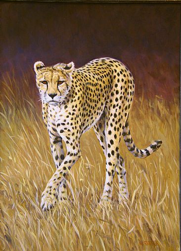 Cheetah - Afrian wild life by Werner Rentsch